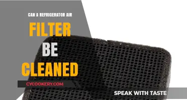 Can You Clean a Refrigerator Air Filter? A Quick Guide