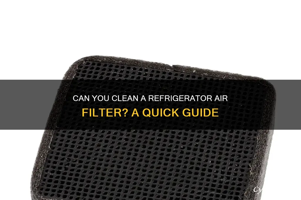 can a refrigerator air filter be cleaned