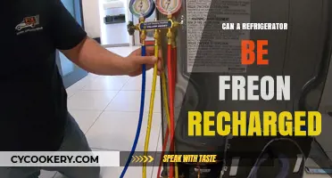 Can You Recharge Your Refrigerator's Freon? A Complete Guide