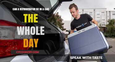 Can a Refrigerator Stay in a Car All Day? Facts Revealed