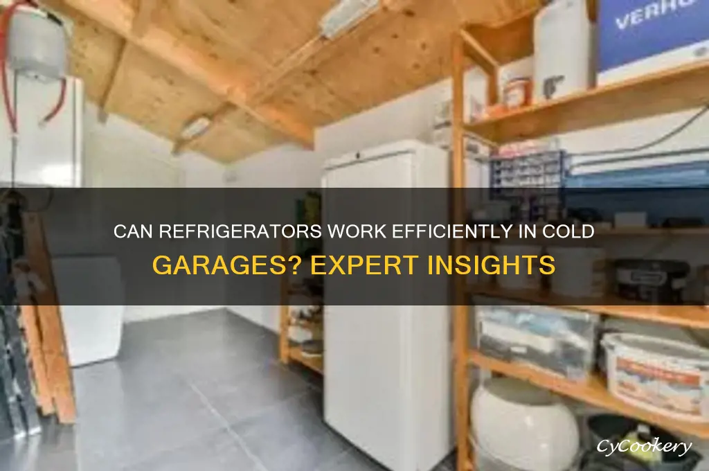 can a refrigerator be in a cold garage