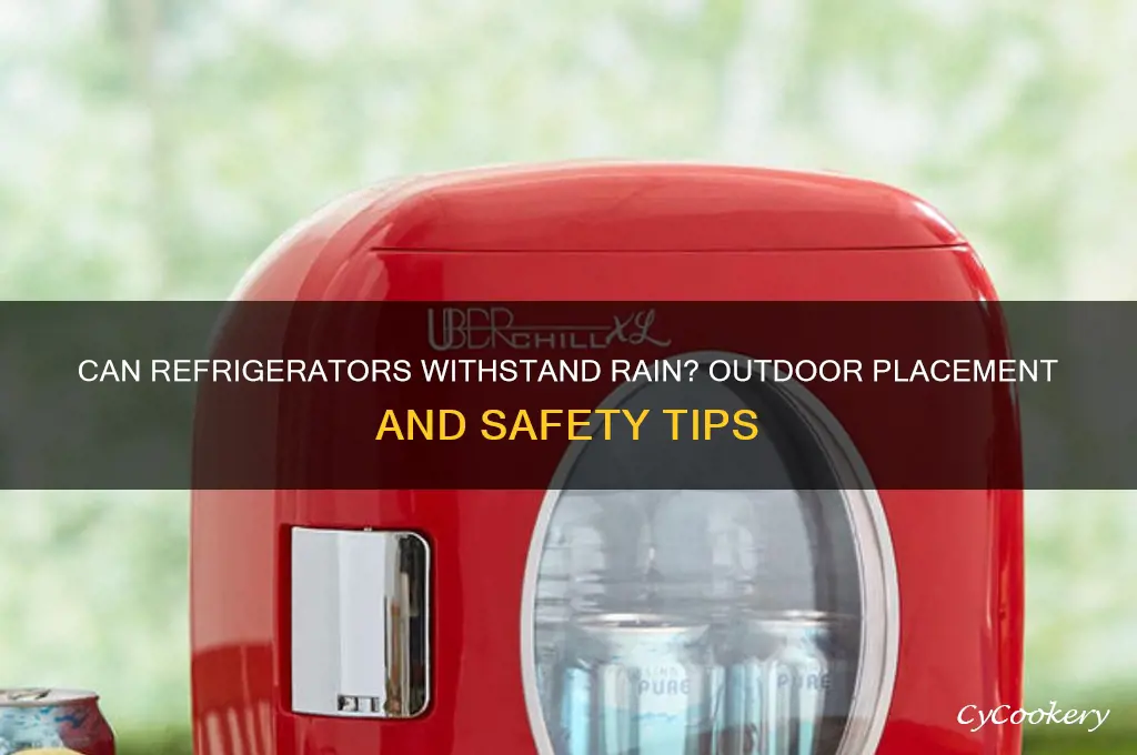 can a refrigerator be in the rain