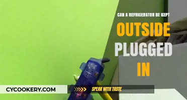 Outdoor Refrigerator Use: Plugged-In Safety and Practical Tips