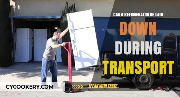Can You Transport a Refrigerator on Its Side? Tips and Risks