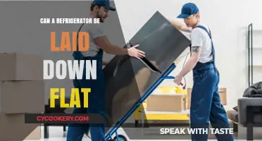 Can You Lay a Refrigerator Flat? Expert Tips and Advice