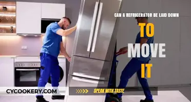 Can You Safely Lay Down a Refrigerator During Moving?