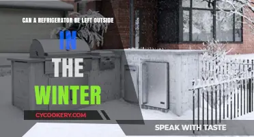 Can Your Fridge Survive Winter Outdoors? Expert Tips and Advice