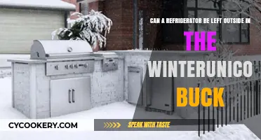 Winter Refrigerator Survival: Can It Withstand Outdoor Cold?