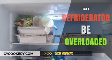Can Your Fridge Handle It? Avoiding Refrigerator Overload Risks