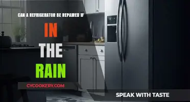 Repairing Rain-Damaged Fridges: Is It Possible and Cost-Effective?
