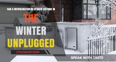 Storing Your Fridge Outside in Winter: Unplugged and Safe?