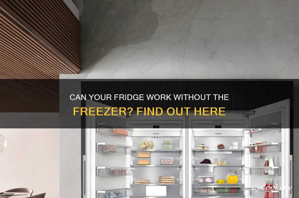 can a refrigerator be used without the freezer on