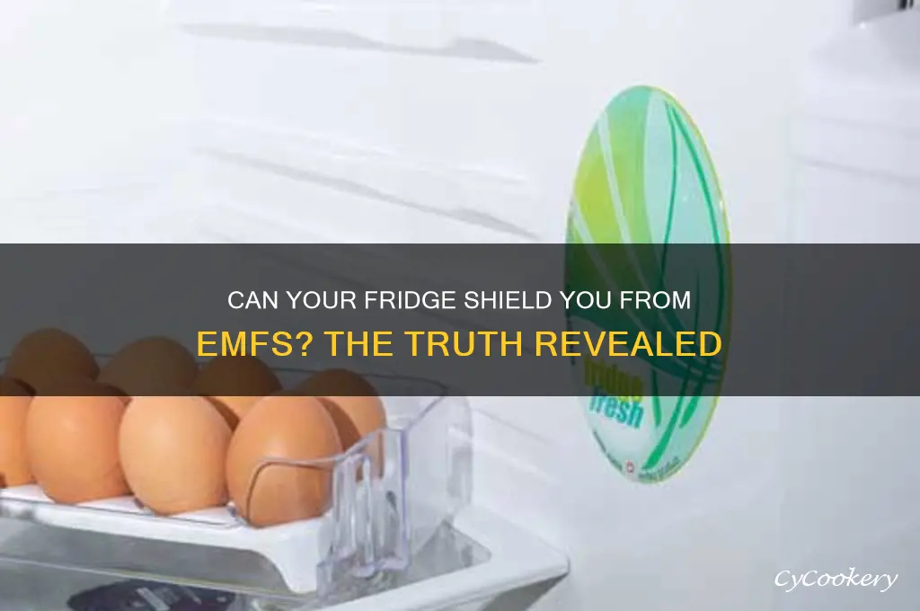 can a refrigerator block emfs