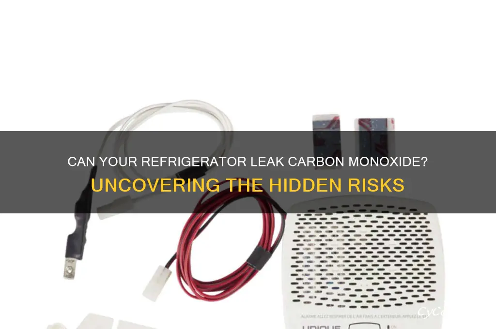 can a refrigerator cause carbon monoxide