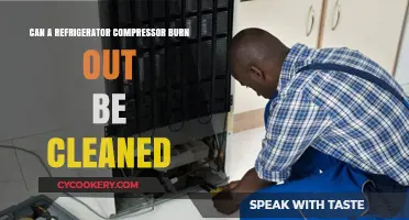 Can a Burned-Out Refrigerator Compressor Be Cleaned and Fixed?