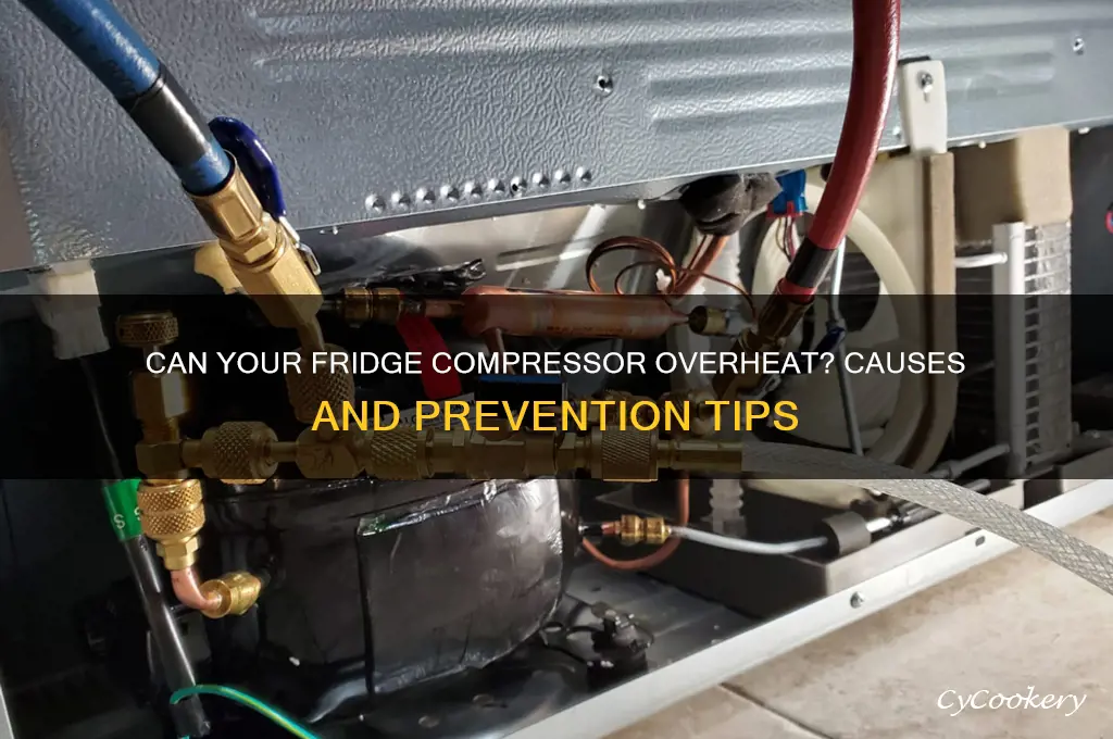 Can Your Fridge Compressor Overheat? Causes And Prevention Tips | CyCookery