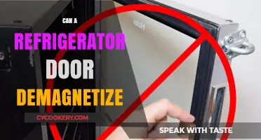 Can Your Fridge Door Demagnetize Items? Unveiling the Truth