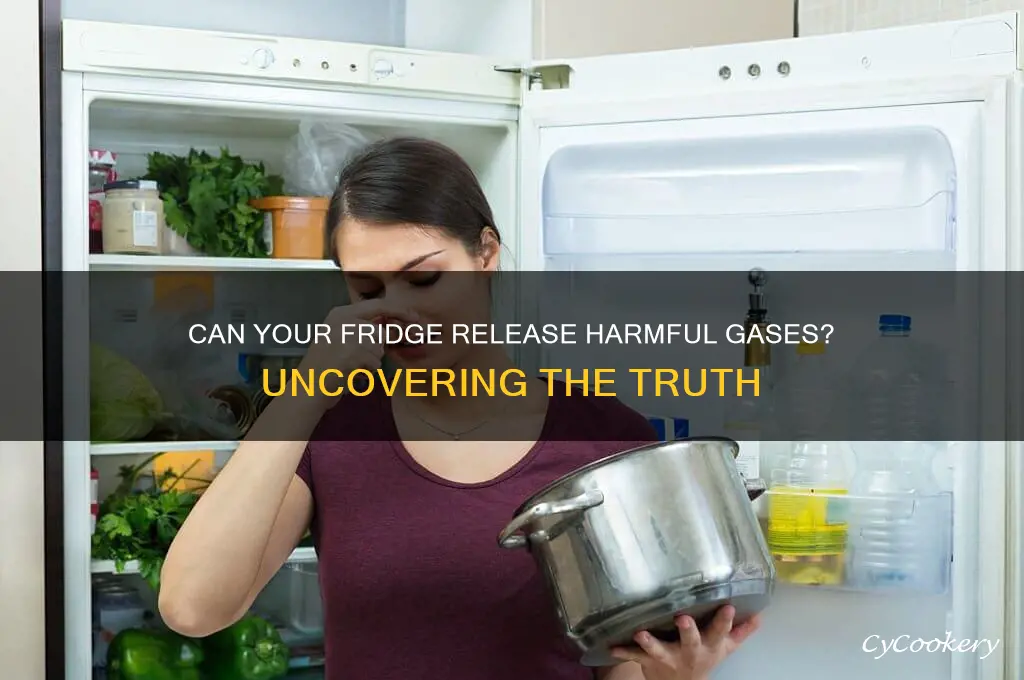 can a refrigerator emit toxic fumes