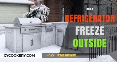 Can Refrigerators Freeze Outdoors? Exploring Temperature Limits and Functionality