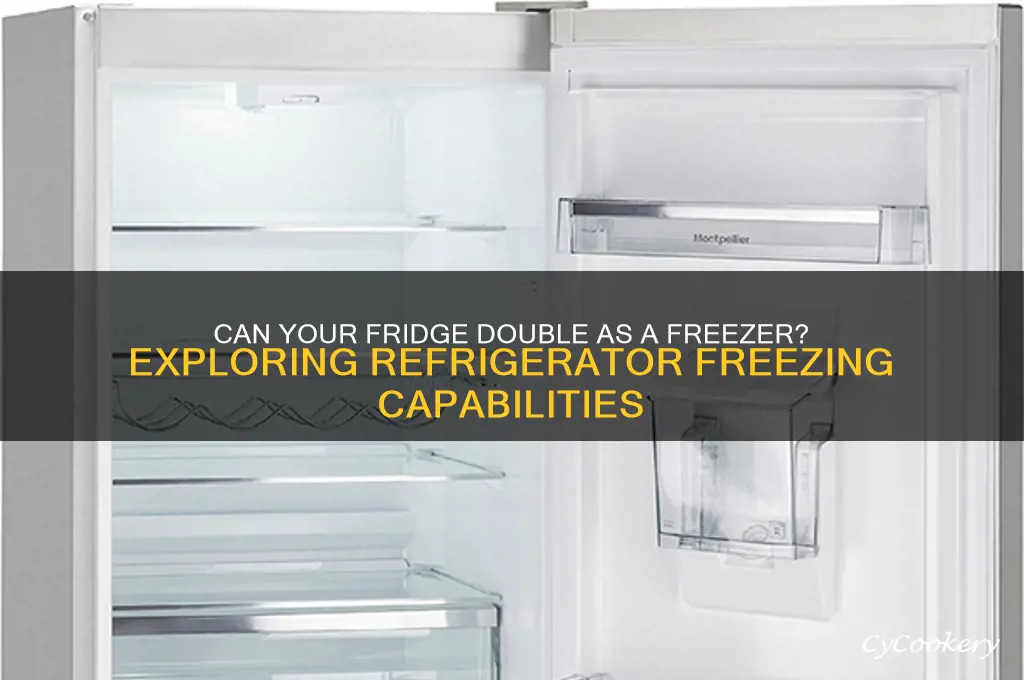 can a refrigerator freeze