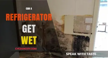 Can Refrigerators Get Wet? Exploring Moisture Risks and Safety Tips