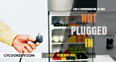 Unplugged Refrigerator Lifespan: Does It Spoil Without Power?