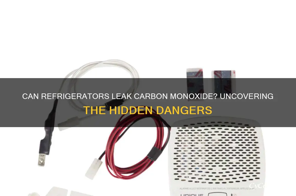 can a refrigerator leak carbon monoxide