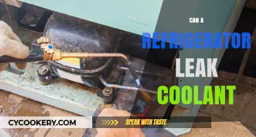 Can Your Fridge Leak Coolant? Signs, Risks, and Solutions
