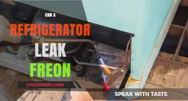 Can Your Refrigerator Leak Freon? Signs, Risks, and Solutions