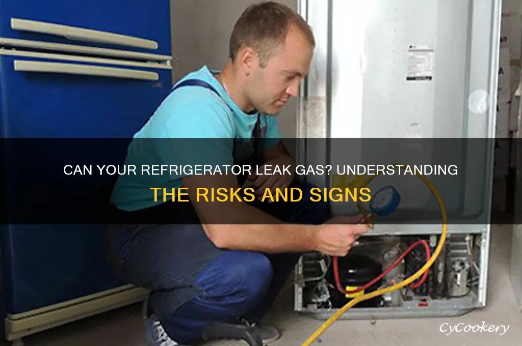 can a refrigerator leak gas
