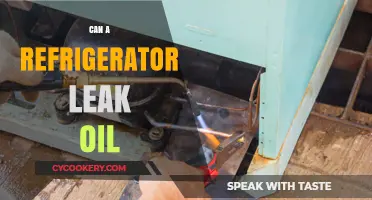 Can Your Fridge Leak Oil? Causes, Risks, and Solutions Explained