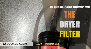 Refrigerant Leaks: Can Your Fridge's Dryer Filter Be the Culprit?