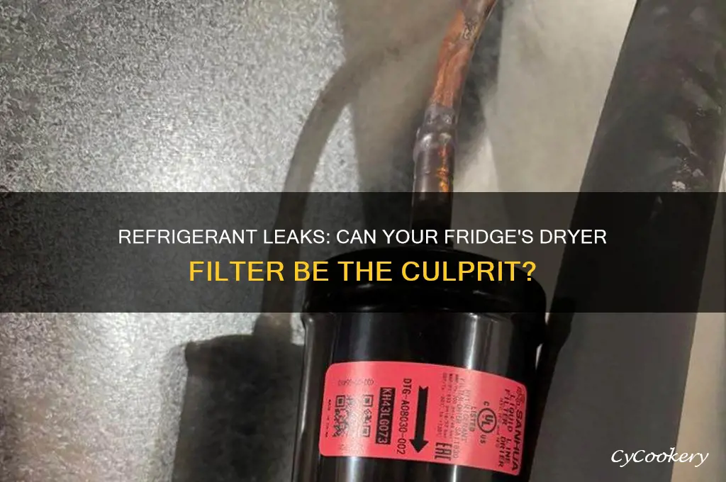 can a refrigerator leak refrigerant from the dryer filter