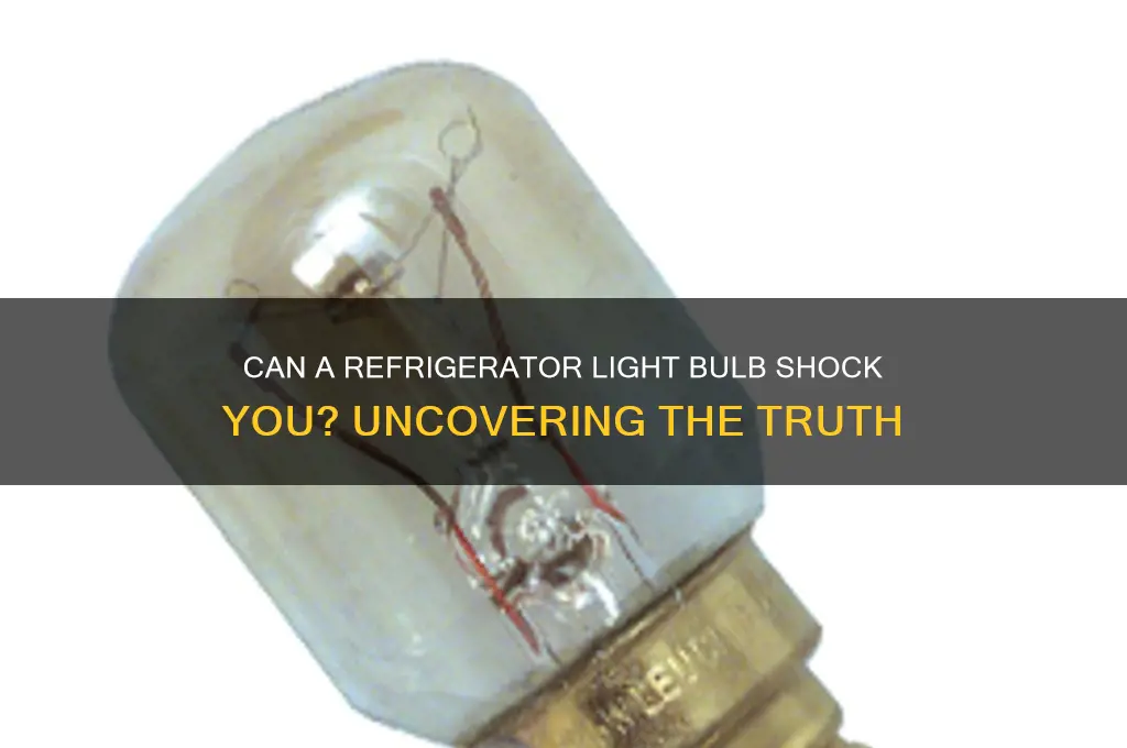 can a refrigerator light bulb shock you