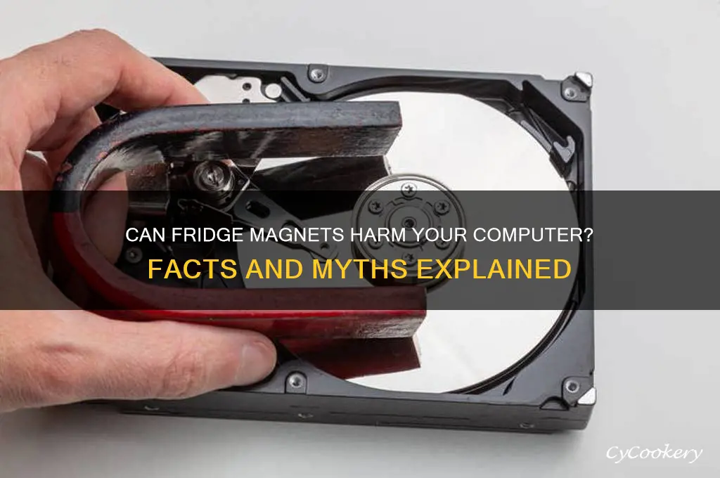 can a refrigerator magnet damage my computer