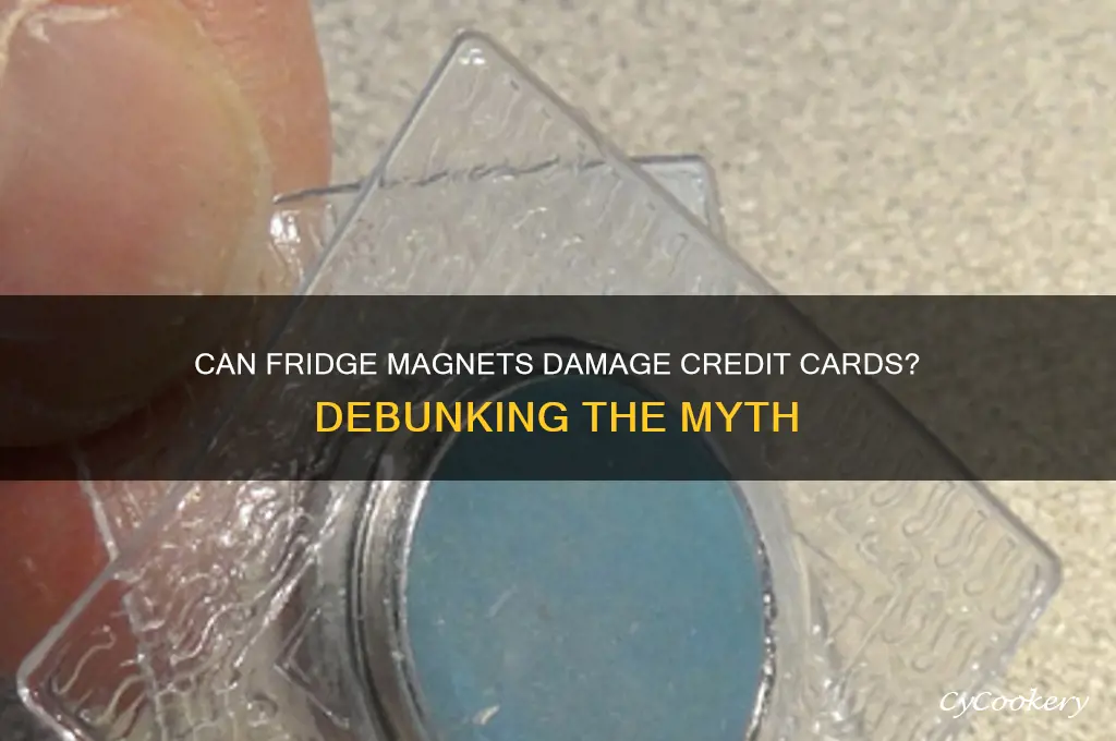 can a refrigerator magnet destroy a credit card