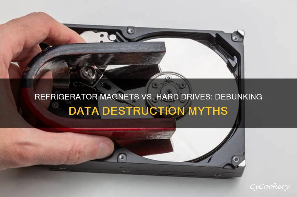 can a refrigerator magnet destroy a hard drive