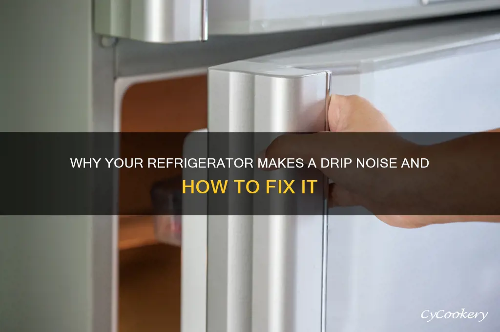 can a refrigerator make a drip noise