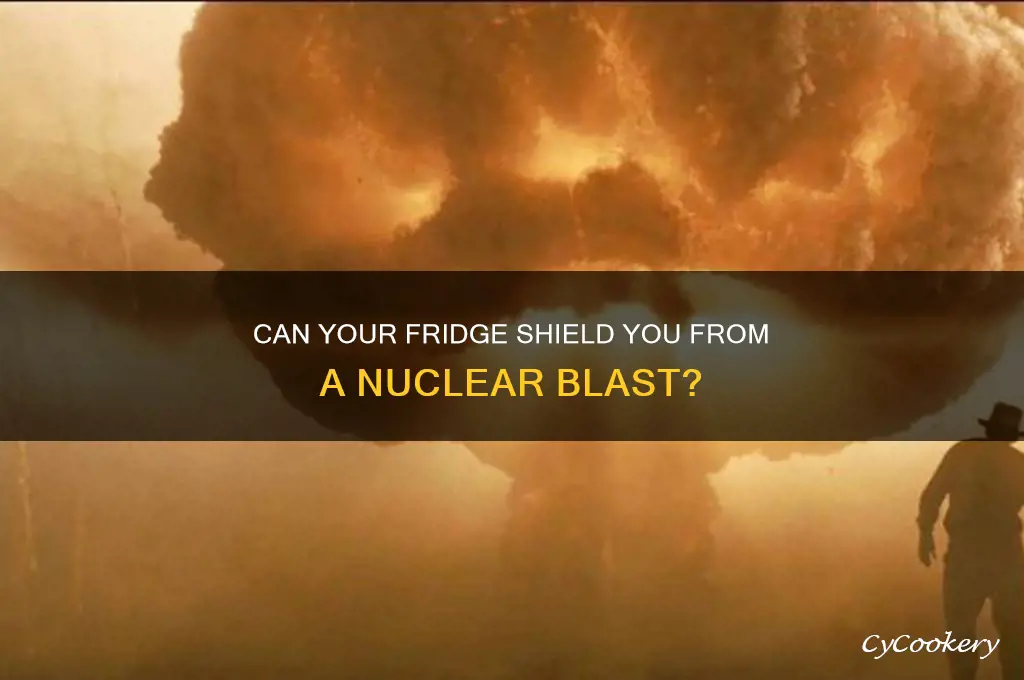 can a refrigerator protect you from a nuke