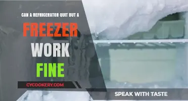 Refrigerator Stops Working While Freezer Runs: Causes and Fixes