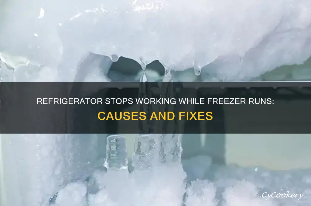 can a refrigerator quit but a freezer work fine