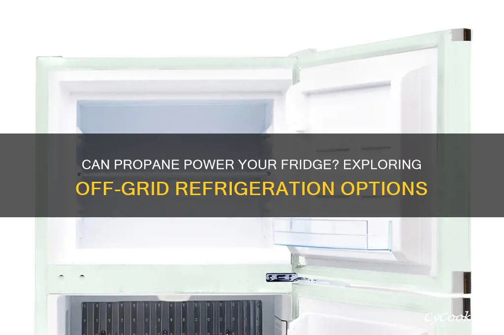 can a refrigerator run on propane