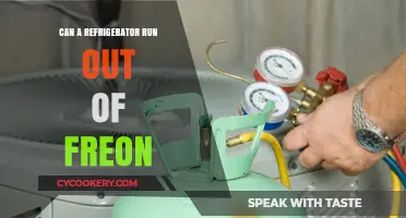 Can Your Fridge Run Out of Freon? Understanding Refrigerant Levels