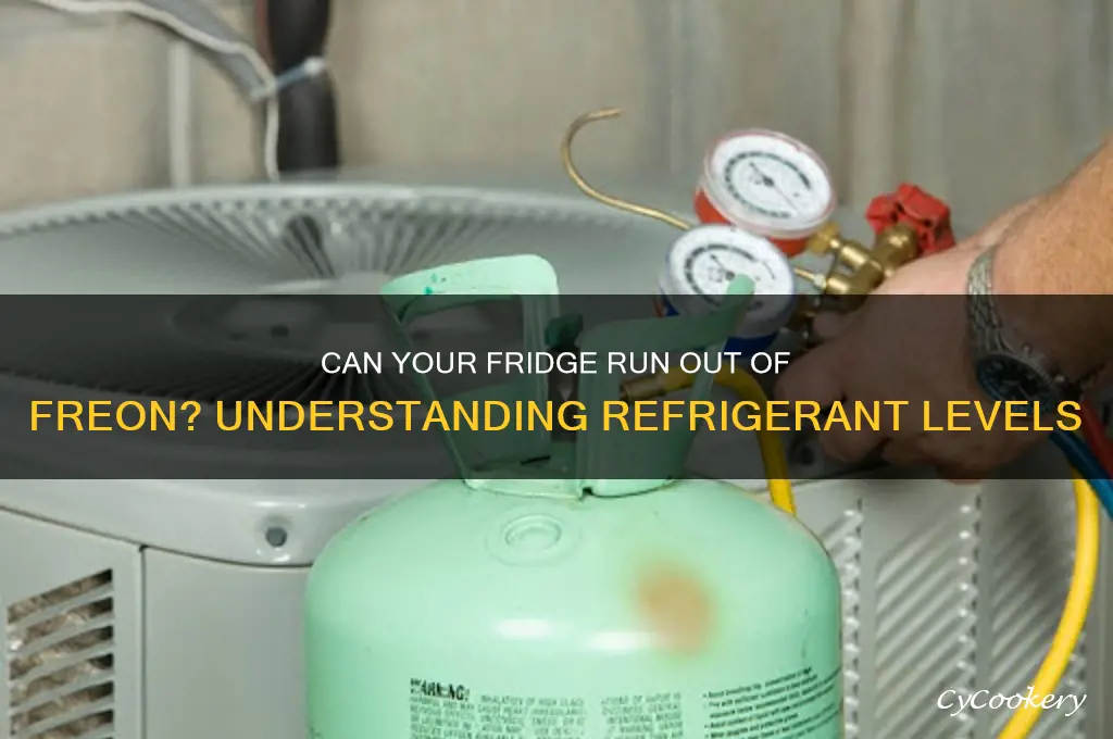can a refrigerator run out of freon