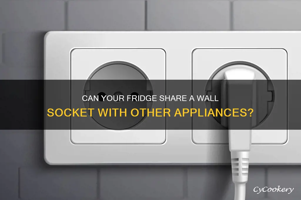 can a refrigerator share a wall socket with another appliance