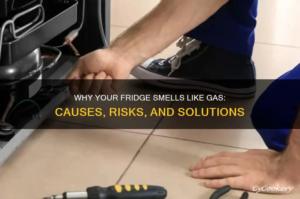 can a refrigerator smell like gas