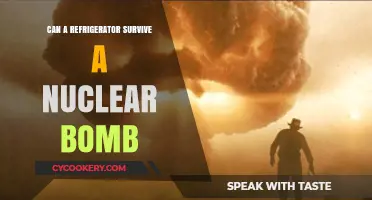 Refrigerator Survival: Can It Withstand a Nuclear Blast?
