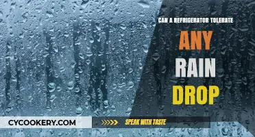 Can Refrigerators Withstand Rain? Understanding Outdoor Exposure Risks