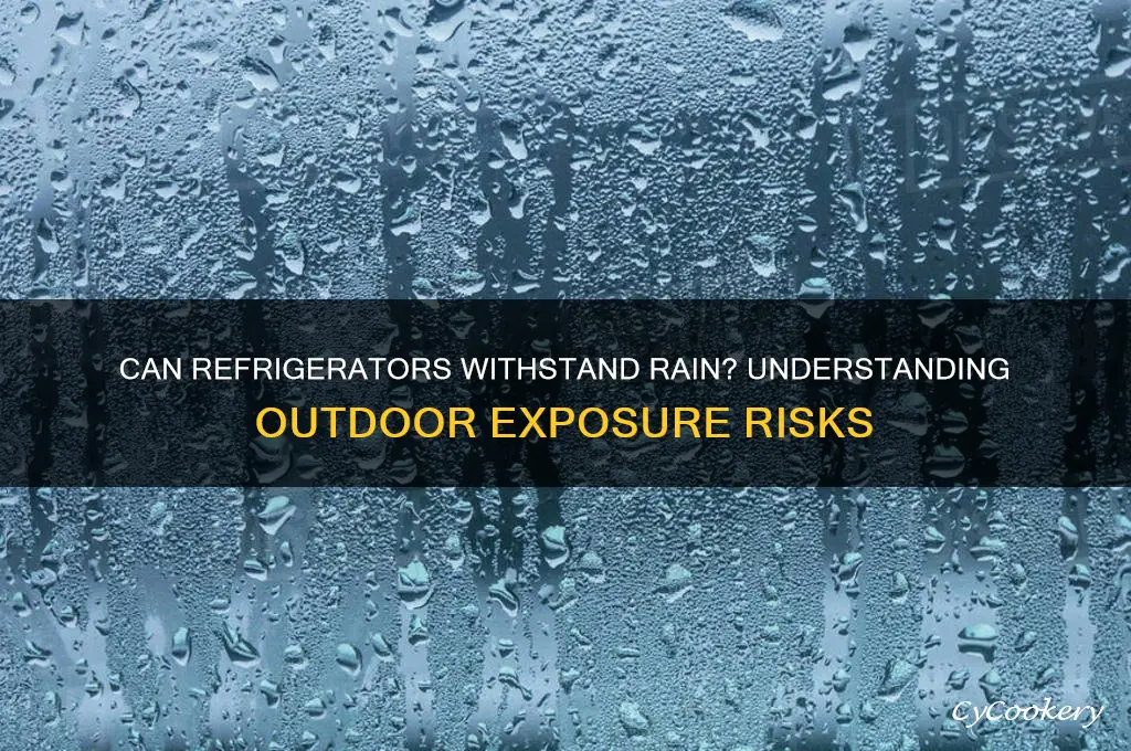 can a refrigerator tolerate any rain drop