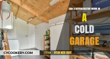 Can Refrigerators Function Efficiently in Cold Garages? Expert Insights